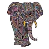 CADEAU PARFAIT POUR ADULTES & ADOS – Une idée cadeau unique et mémorable, adaptée pour un anniversaire, Noël ou toute autre occasion spéciale. Parfait pour partager un moment convivial en famille ou entre amis.