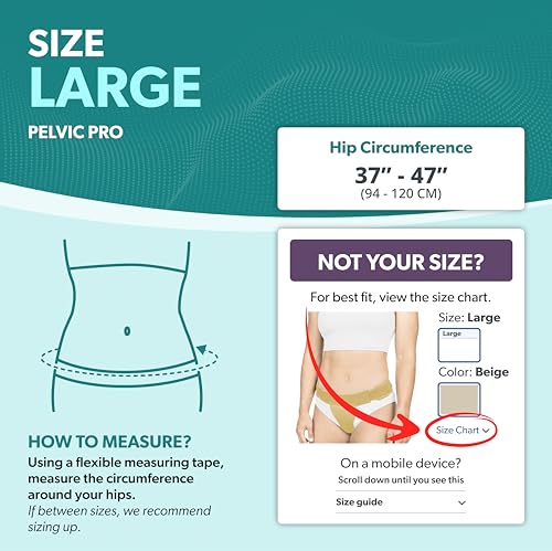 Image of BraceAbility Pelvic Pro Support Belt - Patented, Original Prolapsed Uterus Brace for Women Treating Dropped Bladder, Uterine Prolapse, Vulvar Varicosities, Postpartum, Symphysis Pubis Dysfunction (L)