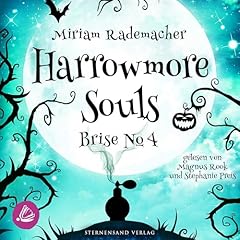 Brise No. 4 Audiobook By Miriam Rademacher cover art