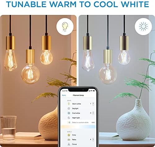 WiZ Dimmable White [E27 Edison Screw] Smart Connected WiFi Filament ST64 Amber Light Bulb 2 Pack + WizMote. App Control for Indoor Home Lighting, Livingroom and Bedroom