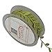 Eleta Leaf Ribbon, 17 Yard / 50 Feet Roll, 1 inch Width, Green