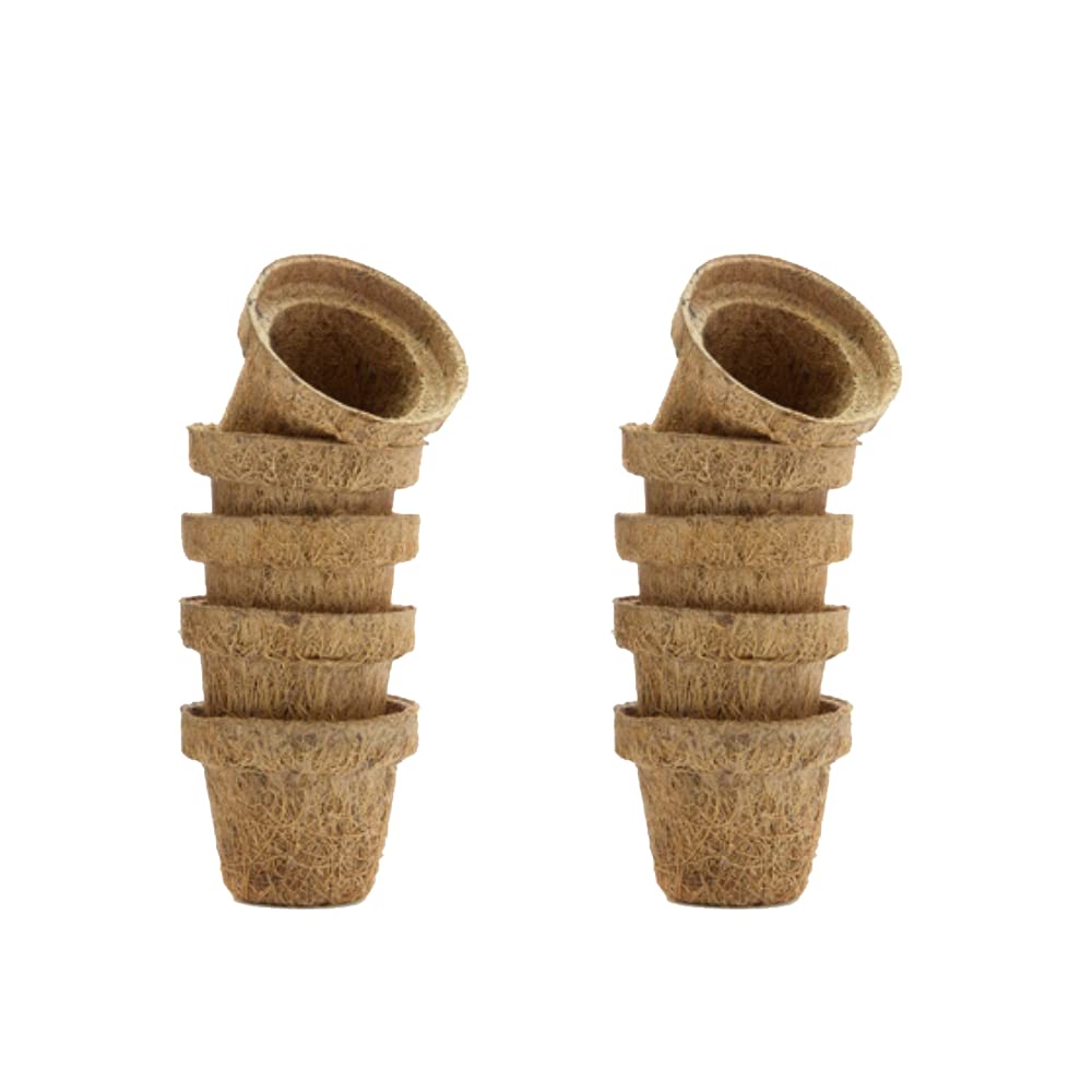 KURUPPATH GROUP Coir Pot, Coco Basket Seedling Cups for Plants 2.36 inch (6 x 3.5 x 5cm) Set of 10 (B09V4TK749) Amazon Price History, Amazon Price Tracker