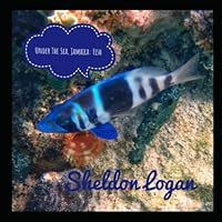 Under The Sea, Jamaica: Fish (Wildlife of Jamaica) B0BZ329J5J Book Cover