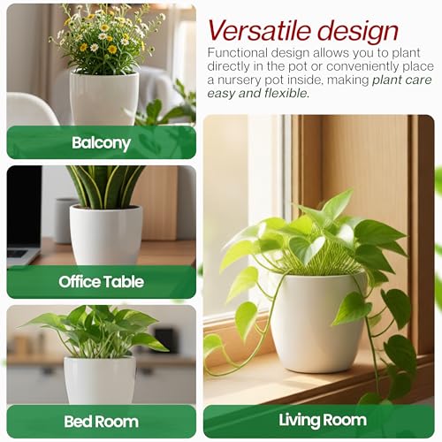 Image of Lasaki Andora 4 inch White Ceramic Pots for Indoor Plants, Planters,gamla,Outdoor,Balcony,Home,Round,Garden, Office Decor,Succulent(H - 9.5 X D - 11 cm)(Plants not Included)