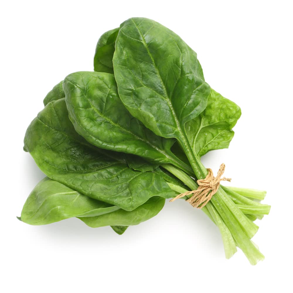 Vegetable Plants, Spinach 'Renegade', 8 x Plug Plant Pack, Spinach Plants, Garden Veg, Premium Quality Vegetables