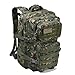 REEBOW GEAR Military Tactical Backpack Large Army 3 Day Assault Pack Molle Bag Backpacks (Woodland Camo)