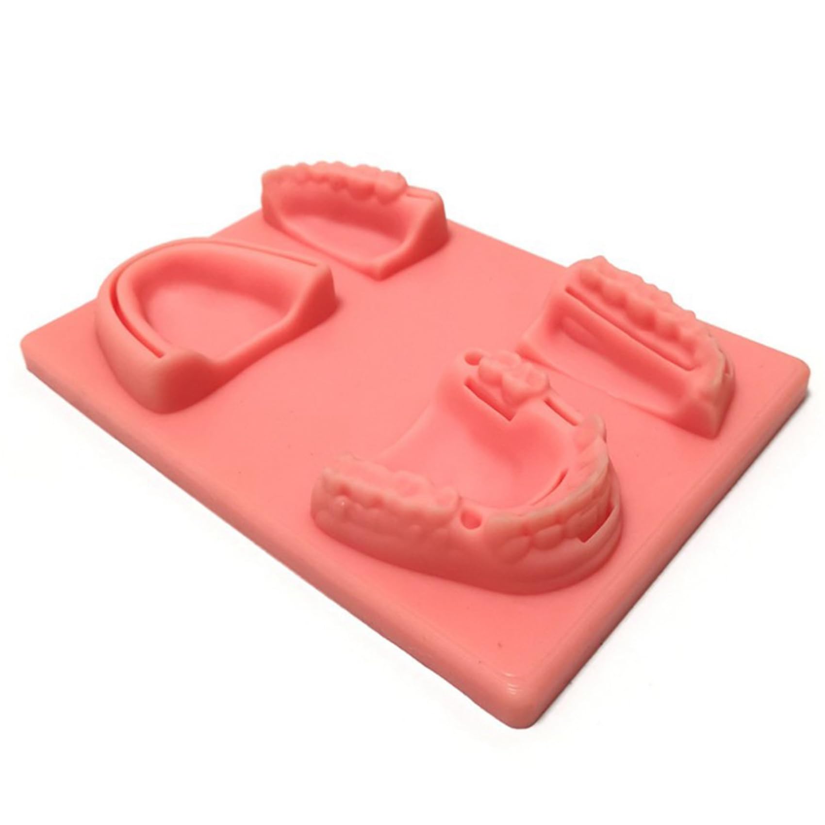Kit per esercizi di cucitura dentale, 5 pezzi, per studenti e studenti veterinari