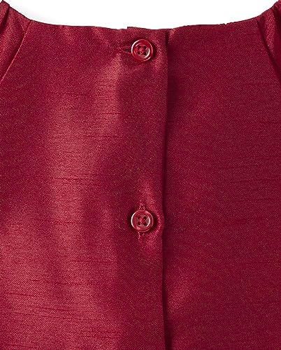 Gymboree Baby Girls' and Toddler Holiday Dressy Dresses4