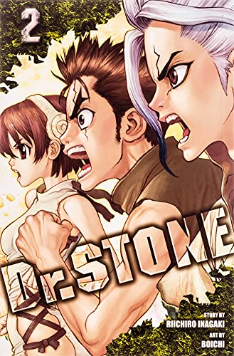 Dr Stone Vol 6 6 Inagaki Riichiro Boichi Amazon Com Books