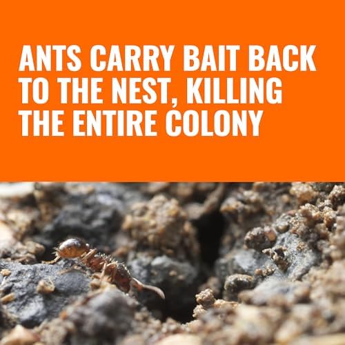 TERRO Outdoor Liquid Ant Bait Stakes, 12-Pack, Ready-to-Use Ant Killer Trap - 3