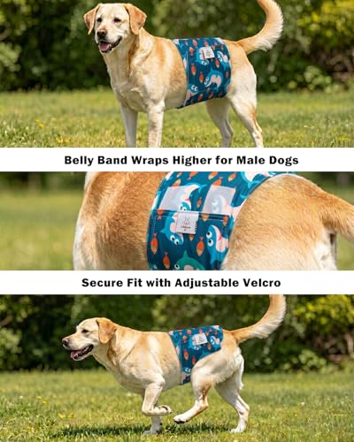 Image of CuteBone Dog Diapers Male Belly Bands 3 Pack for Male Dogs Reusable Puppy Wraps