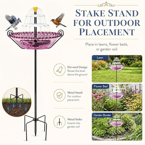 Contenedor de riego Bluebird para atraer aves al patio trasero 7