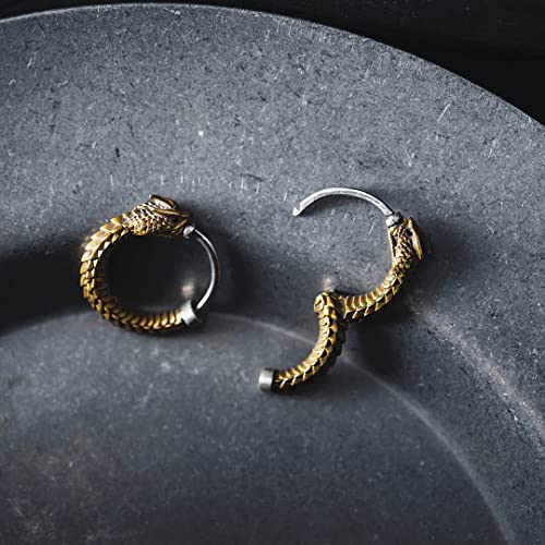Coppertist.wu Ouroboros Earrings,Snake Huggie Hoop Earrings Hypoallergenic Earrings For Women Men Girls,Pair #TOP6