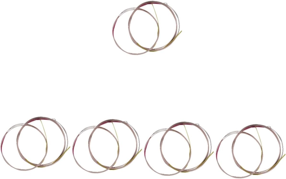 Abaodam 20pcs Pipa Strings Replacement Chinese Pipa Instruments Practice Strings for Performance Beautiful Tone