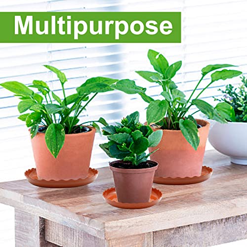 Aynaxcol 12 Pack White Plant Trays 3 Sizes Plastic Round Wave Plant Saucer Flower Plant Pot Saucer Terracotta Drip Trays For Indoor Outdoor Flower Pots And Planters, With 20Pcs Green Plant Labels #TOP4