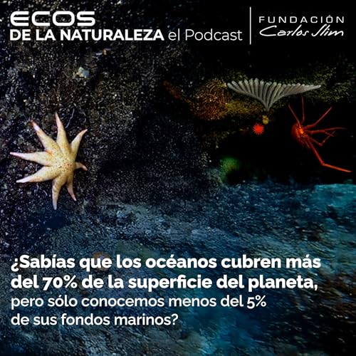 Mar profundo, la riqueza desconocida de M&eacute;xico Episode #15