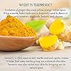 Turmeric-Face-Mask-for-Sensitive-Skin-Deep-Pore-Cleansing-Mask-Skin-Moisturizing-Face-Mask-Organic-Face-Mask-Skin-Care-with-Manuka-Honey-Kaolin-Clay-and-Bentonite-Clay-Mask-3oz Turmeric Face Mask Acne Scars and Dark Spot Remover - Deep Pore Minimizer and Anti Aging Face Mask - Skin Moisturizing Face Mask - Face Moisturizer for Glowing Skin and Pimple Spot Treatment (3oz)