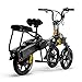 350w Two Seater Lightweight Folding 3 wheel Electric Trike Tricycle Scooter Worldwide Shipping