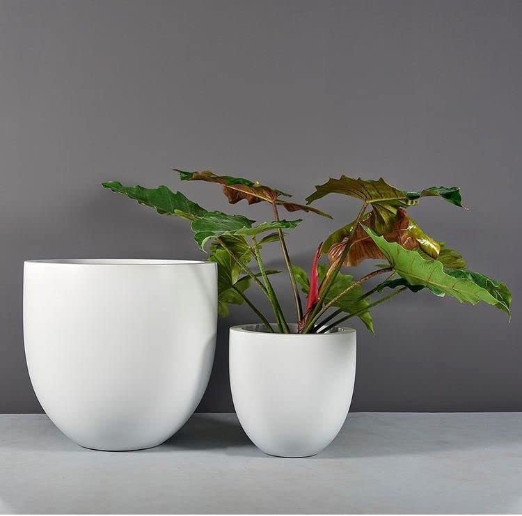 See full amazon price history chart for S E Fibereum Standard White Cup Colour Fibre Reinforced Plastic Flower Pot 15X14 inches. Home Decoration Flower Pot, Outdoor and Indoor, Balcony Gardening, Pots with Optional Drainage Hole S E Fibereum Standard White Cup Colour Fibre Reinforced Plastic Flower Pot 15X14 inches. Home Decoration Flower Pot, Outdoor and Indoor, Balcony Gardening, Pots with Optional Drainage Hole (B098JCZCM3) Amazon Price History, Amazon Price Tracker