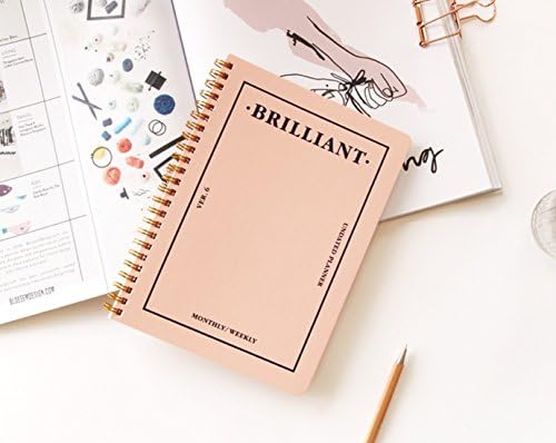 PAPERIAN Brilliant Monthly & Weekly Planner - Wirebound Undated Monthly &Weekly Planner Book Scheduler Diary (Shell Pink)