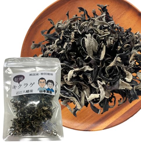 yYE_z炰 XCX 20g | 5 R{_ RRHuߕ X[vɍœK