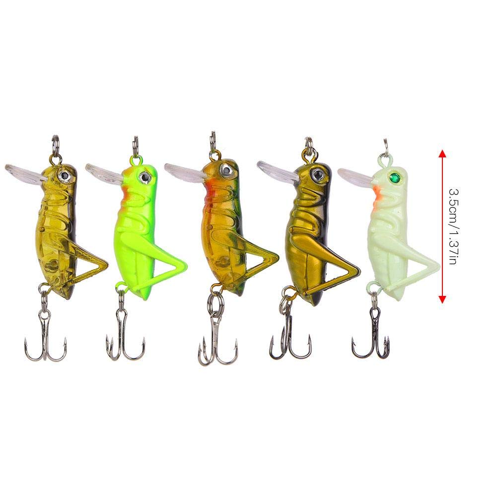 Lot de 5 leurres de pêche en sauterelle, appâts artificiels réalistes avec boîte