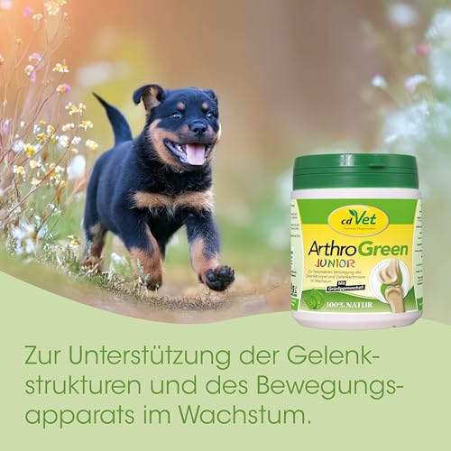 cdVet ArthroGreen Junior 25g – Ergänzungsfuttermittel für Hunde und Katzen mit Grünlippmuschel und Kräutern