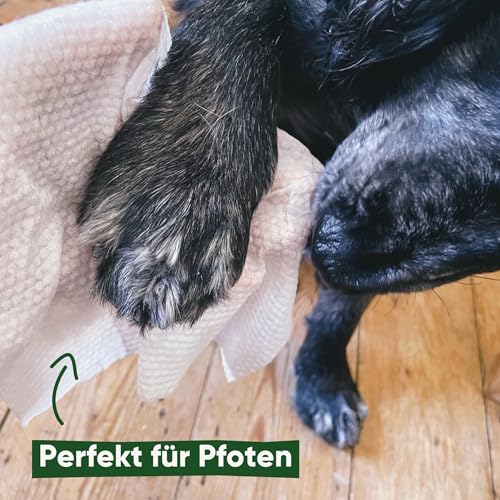 Beco Bambus Hundetücher - Plastikfrei 80 Tücher, Kokosnuss-Duft, Für Pfoten, Körper und Po, Pflanzliche Pflegetücher