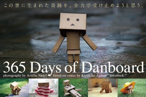 365 Days of Danboard