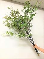 【形を整えてお届け】勢いあるドウダンツツジの造花2本セット Amazon.co.jp: ドウダンツツジ