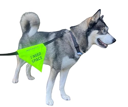 Yellow Dog UK I NEED SPACE dog lead flag for nervous anxious dogs that need space