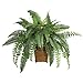 Nearly Natural 6549 Boston Fern with Wicker Decorative Silk Plant, Green