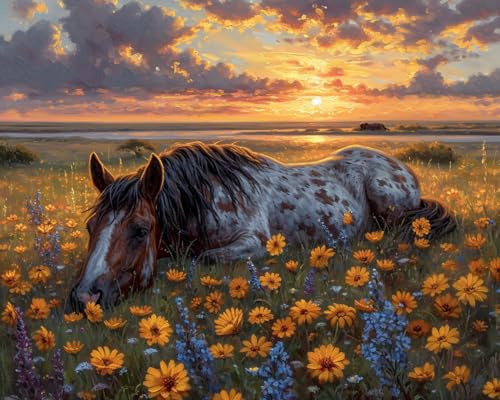 Stamped Cross Stitch Kits, Horse Resting at Dusk, Needlepoint Counted Cross Kits for Beginners, Embroidery Kits Arts Home Decor(11CT No Frame,16x20 inch)