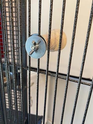 Image of Polly's Ice Cream Perch with Cinnamon for Parakeets, Cockatiels, Amazons, Greys, Macaws, Parrots, and All Other Types of Birds (Small)
