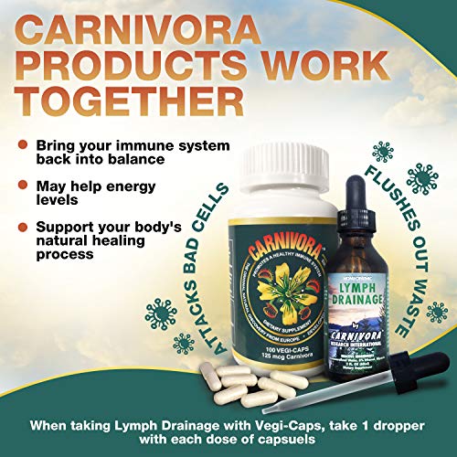 Carnivora Vegi-Caps - All Natural, Gluten Free, Vegan Friendly Capsules To Reduce Fatigue, Strengthen And Support Your Immune System (100 Capsules) #TOP3