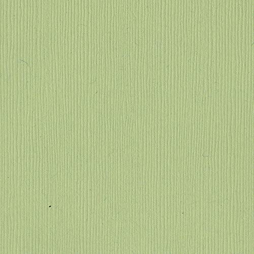 SPRING BREEZE - 12x12 Cardstock by Bazzill Fourz | 80 lb textured Green Scrapbook Paper | Premium Card Making Cardstock for Paper Crafts | 25 Sheets