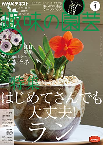 ｎｈｋ 趣味の園芸 22年 1月号 雑誌 Nhkテキスト 日本放送協会 Nhk出版 趣味 その他 Kindleストア Amazon