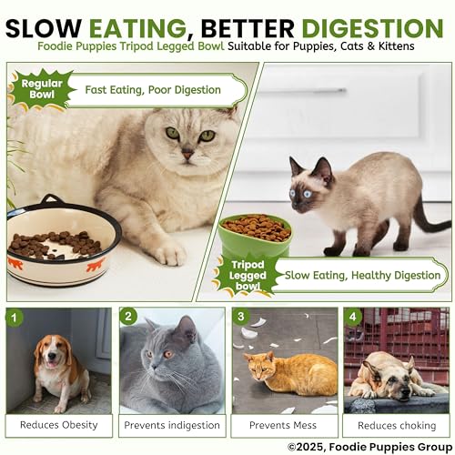Image of Foodie Puppies Elevated Cat Feeding Bowl - (Tripod Legged Bowl) | Anti-Vomiting Raised Food and Water Feeder with Non-Skid Base | Suitable for Cats, Kittens and Puppies