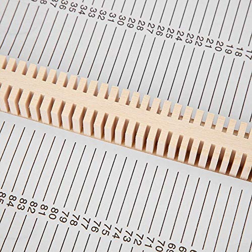 Contenitore per vetrini da microscopio non tossico...