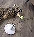Petlinks Pure Commotion Electronic Motion Wand Cat Toy, Battery Powered - Gray/Green, One Size