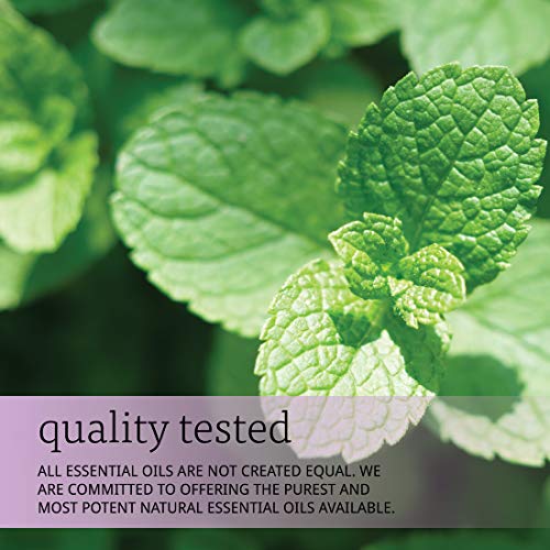 Aceite de Spearmint NOW 1 Onza Pack de 2 miniatura 6