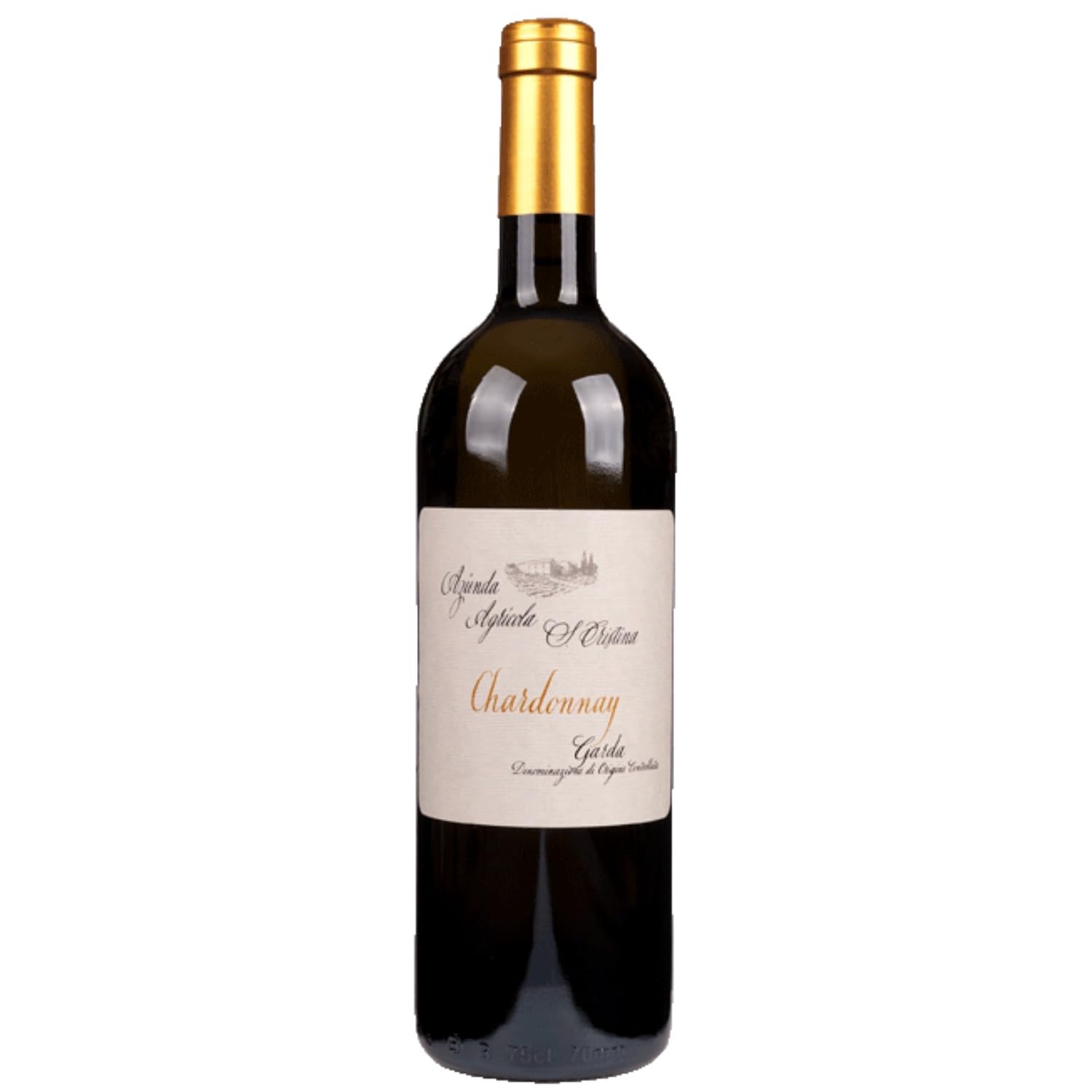 Zenato Santa Cristina Chardonnay Weiss Weisswein Trocken Italien inkl. FeinWert E-Book (6 x 0,75l)