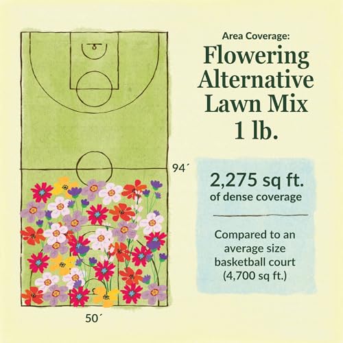 Image of Ferry-Morse Flowering Grass Alternative Seed Mix, 400,000+, 1 lb