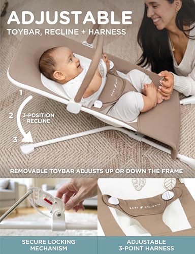 Image of Baby Delight Highland Organic Baby Bouncer | Infant | 0 - 6 Months | 3-Position Recline | Organic Mocha