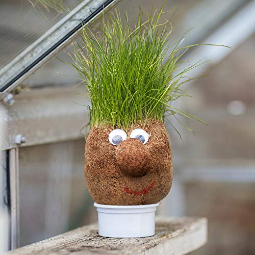 Tobar MR GRASSHEAD, Mixed, 100 x 75 x 130 millimeters - Image 2