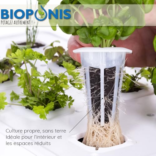 Bioponis Quadratischer Anzuchtkorb für Hydrokultur-Innenbeete – 10 Stück