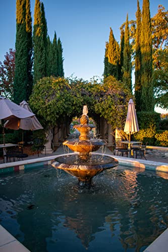 Trees Of Wine Country | Collection Of 5 Live Tree Seedlings | The Jonsteen Company #TOP2