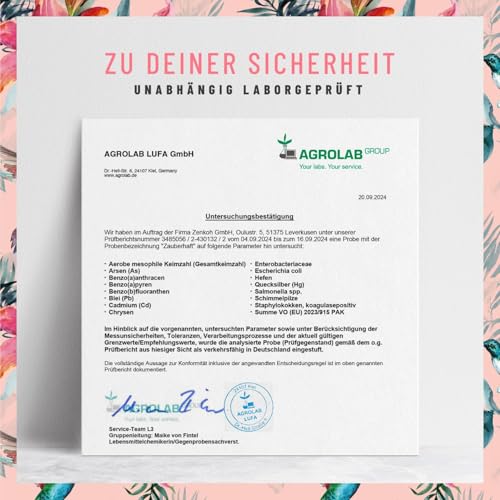 Haar Vitamine - 451mg Silizium hochdosiert & Biotin Zink Selen für Haare - Kieselsäure aus Bambus, Kupfer, Iod, Brennnessel und B-Vitamine - 120 Kapseln - Vegan aus Deutschland