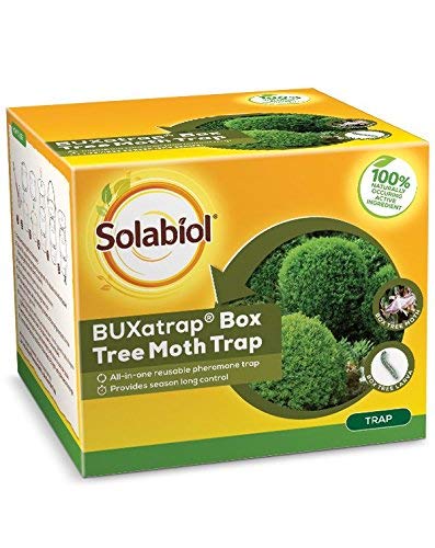 2XBUXatrap Box Tree Moth Trap, Yellow