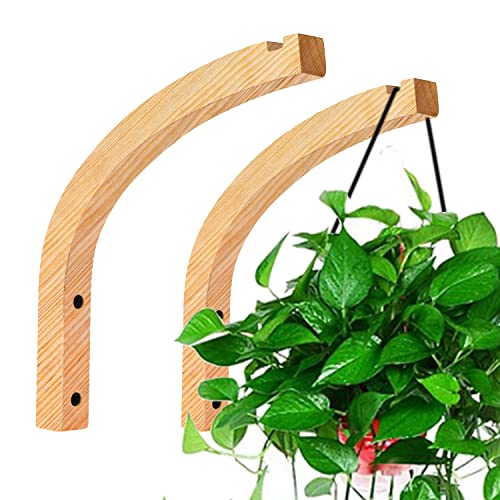 Amazon.de Best Sellers The most popular items in Plant Hooks & Hangers